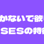 【駆け出しの皆さんへ】こんなSES企業には行かないでください